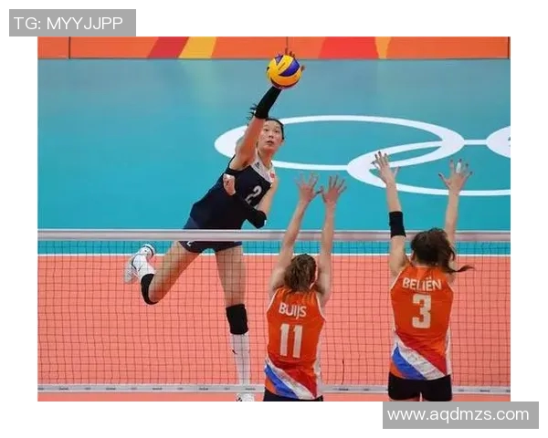 运动最新数据排球装备选购指南及优质球拍推荐助你提升竞技水平